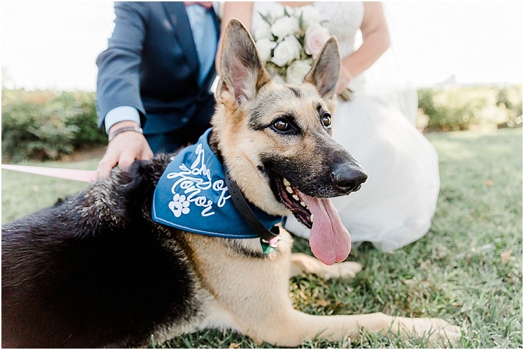 Classic waterfront wedding at the Bayfront Club in Edgemere, Maryland.